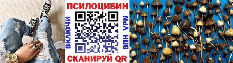 Купить  Амурск  Псилоцибиновые грибы Psilocybe 